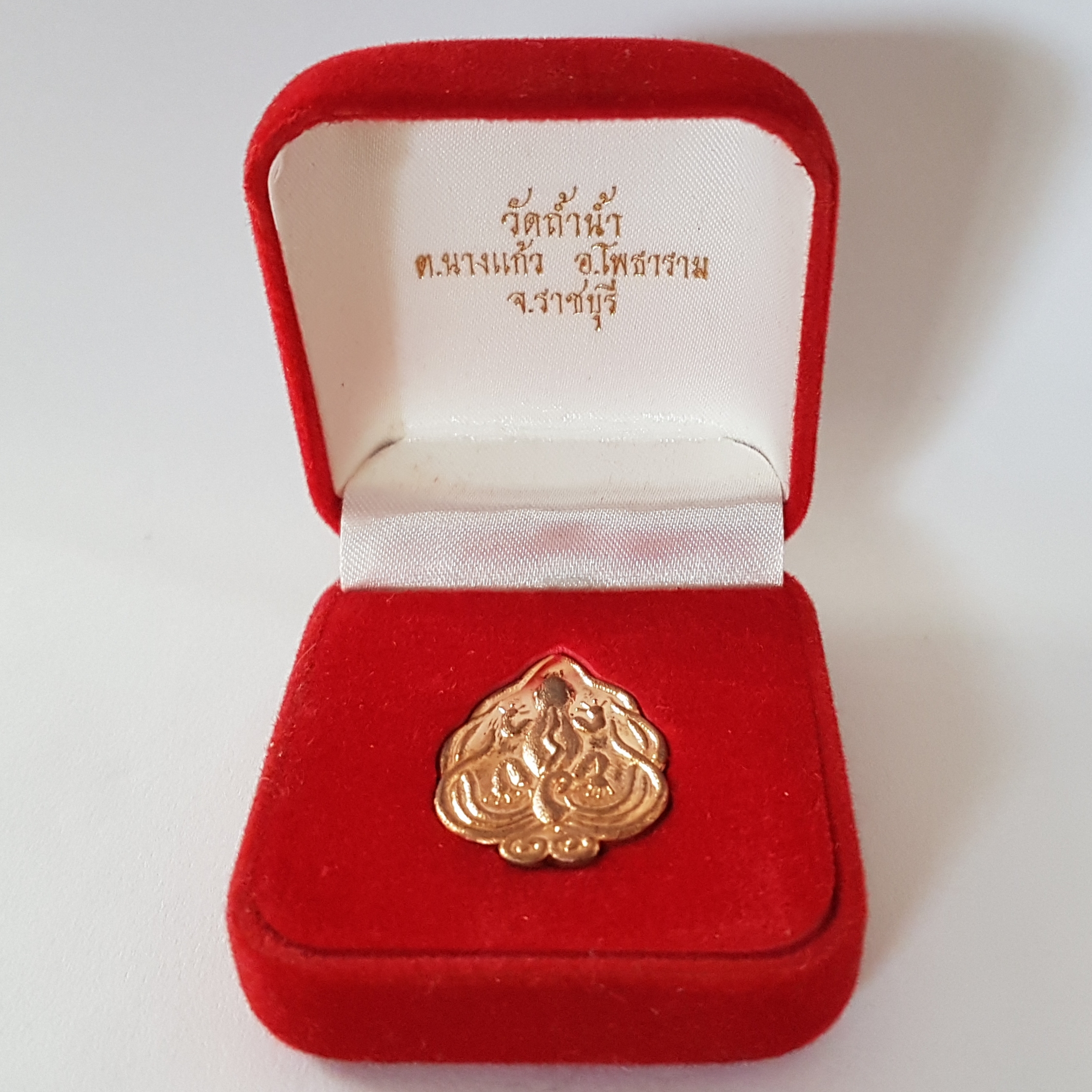 เหรียญจิ้งจก 9 หาง รุ่นแรก เนื้อทองแดง หลวงพ่อเงิน วัดถ้ำน้ำ จ.ราชบุรี