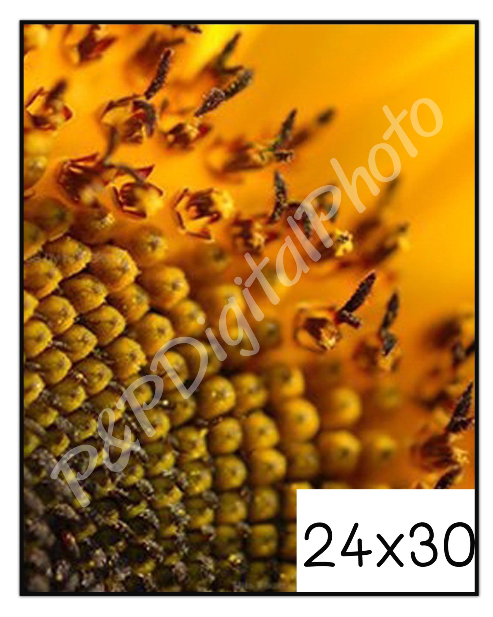 อัดรูปออนไลน์ ล้างรูปราคาถูก ขนาดอัดรูป 24x30 + กรอบลอย