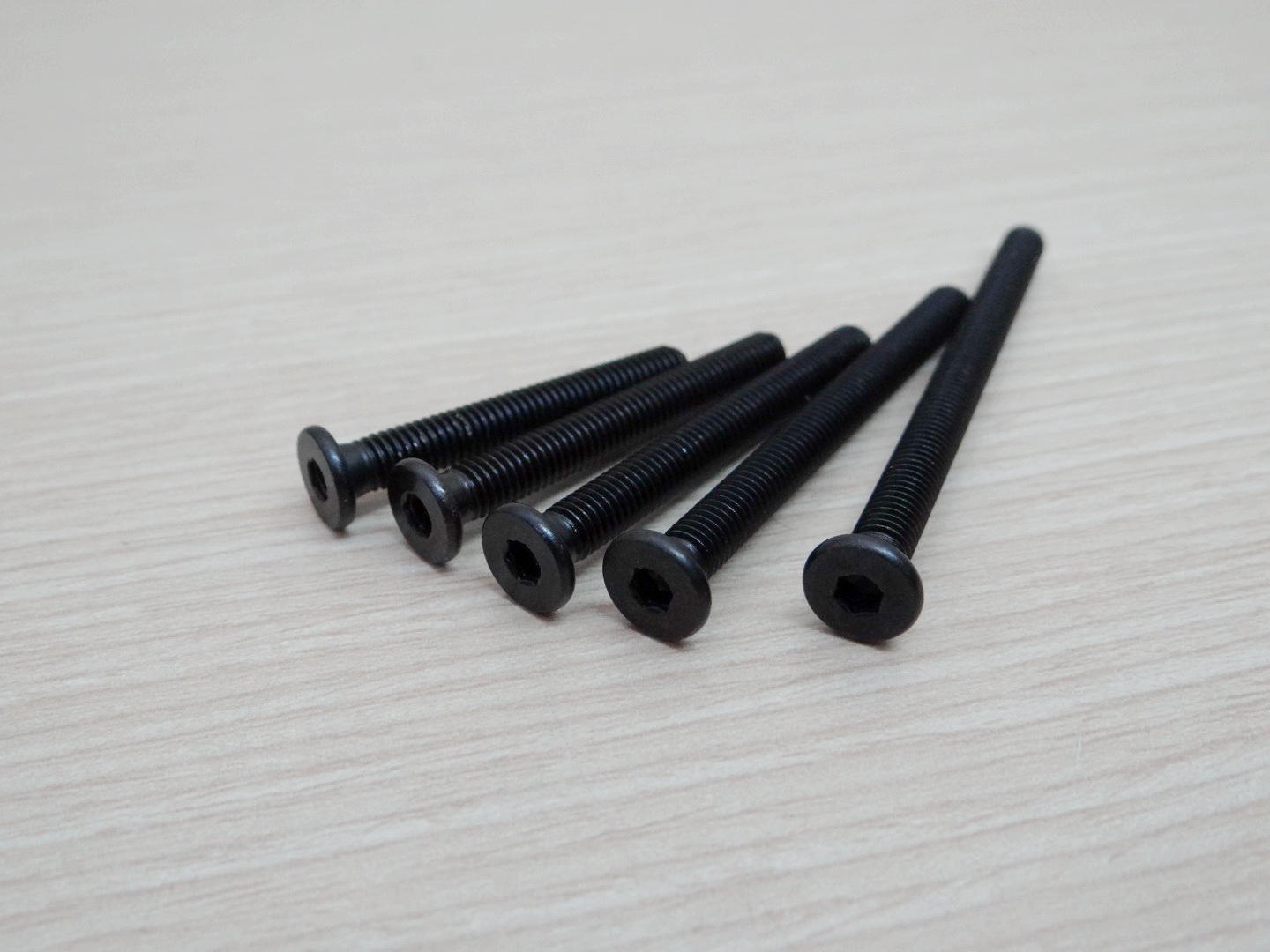 M5x55 mm Low Profile Screws (ชุด 10 ชิ้น)