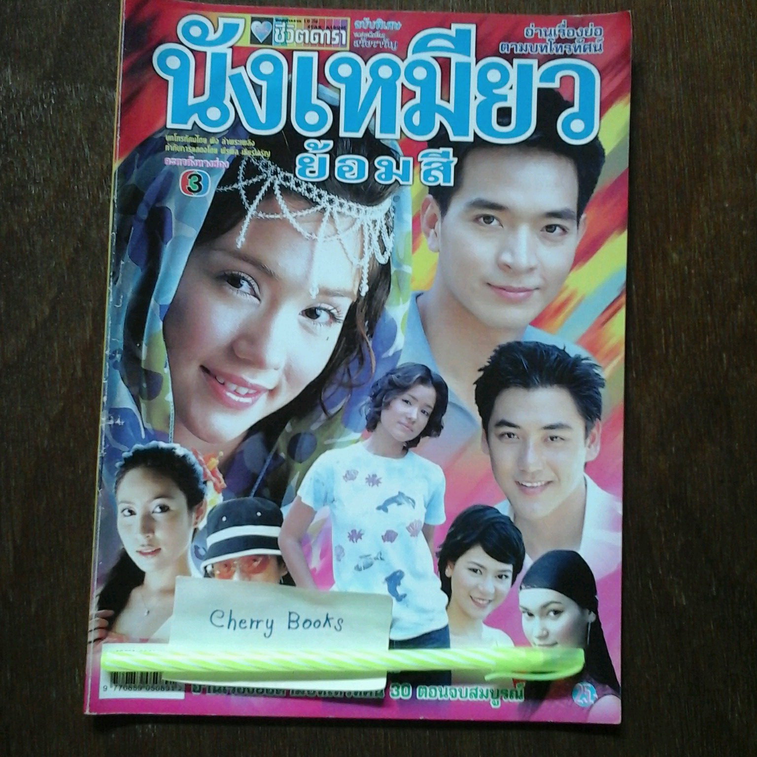 หนังสือเรื่องย่อละคร นังเหมียวย้อมสี