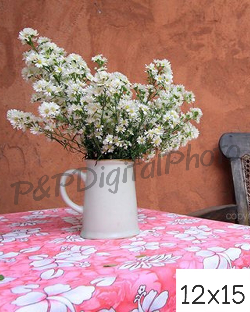 อัดรูปออนไลน์ ล้างรูปราคาถูก ขนาดอัดรูป 12x15