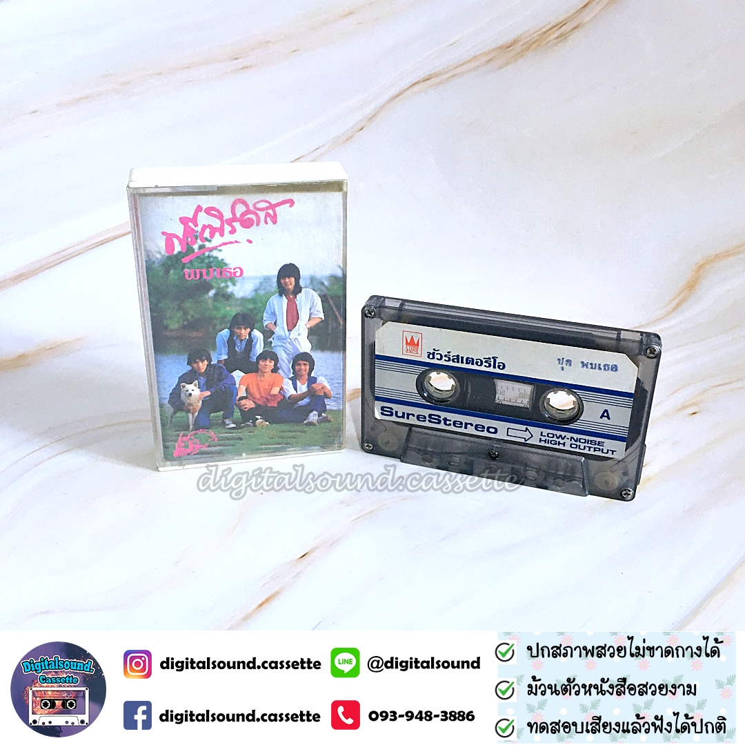เทปคาสเซ็ท ฟรีเบิร์ดส อัลบั้ม พบเธอ