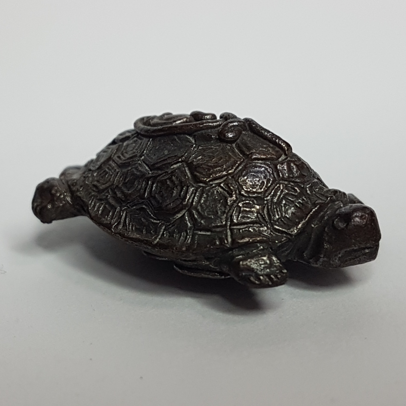 พญาเต่ากัสโป หลวงพ่อสนิท วัดพุทธานุภาพ จ.ปราจีนบุรี