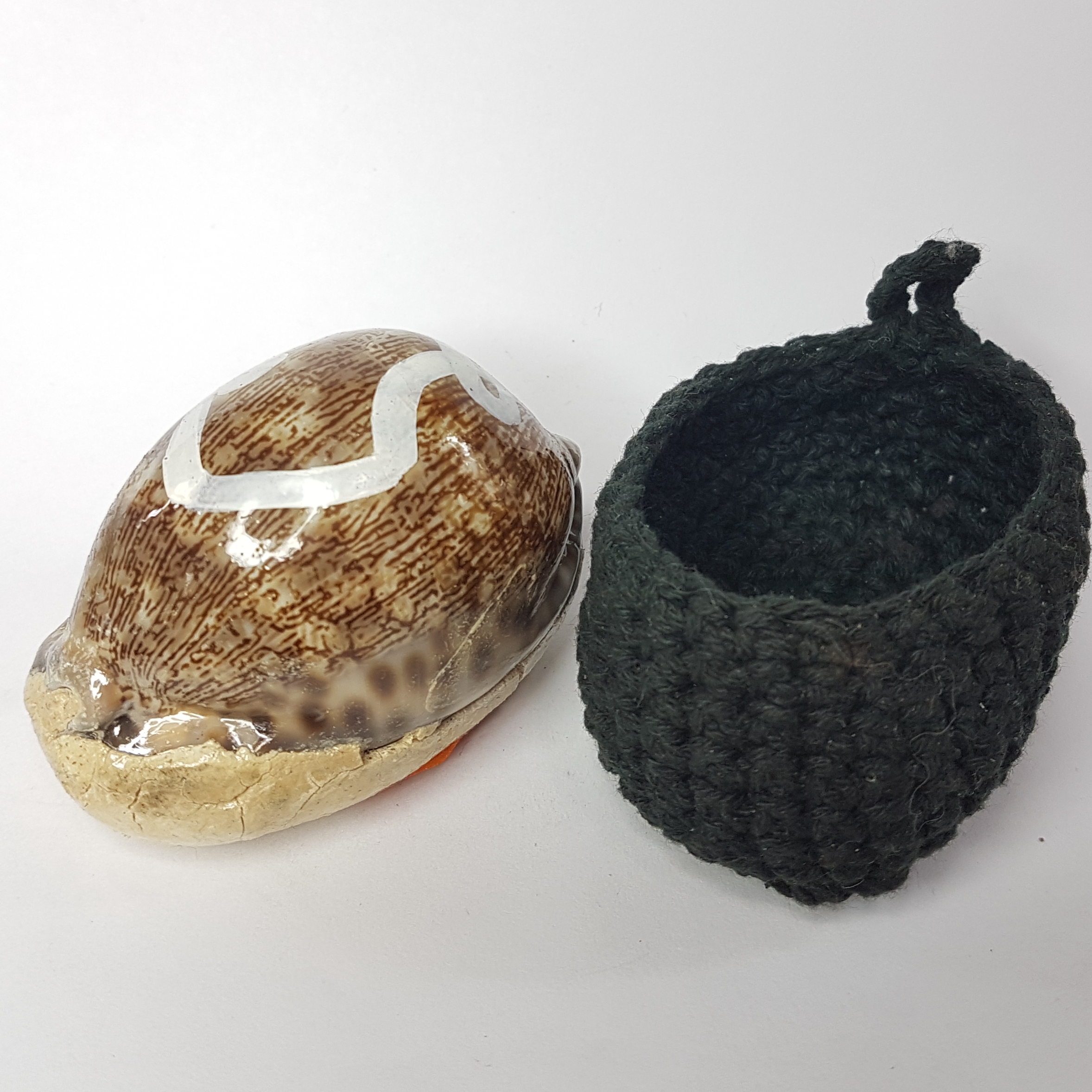 เบี้ยแก้กันภัยตัวครู(ขนาดบูชา)รุ่นเหลือกินเหลือใช้ ปี43 หลวงปู่เหลือ วัดท่าไม้เหนือ จ.อุตรดิตถ์