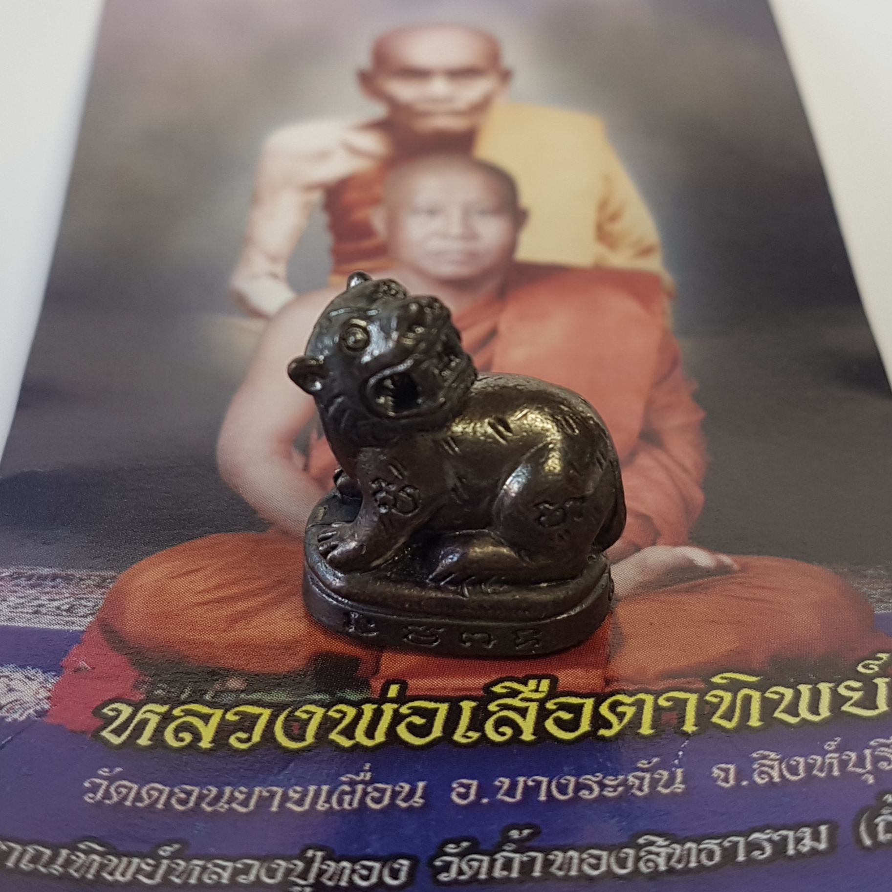 พญาเสือเหลียวหลัง รุ่นเสือทอง ปี53 หลวงพ่อเสือตาทิพย์ วัดดอนไผ่ใหญ่ จ.สิงห์บุรี