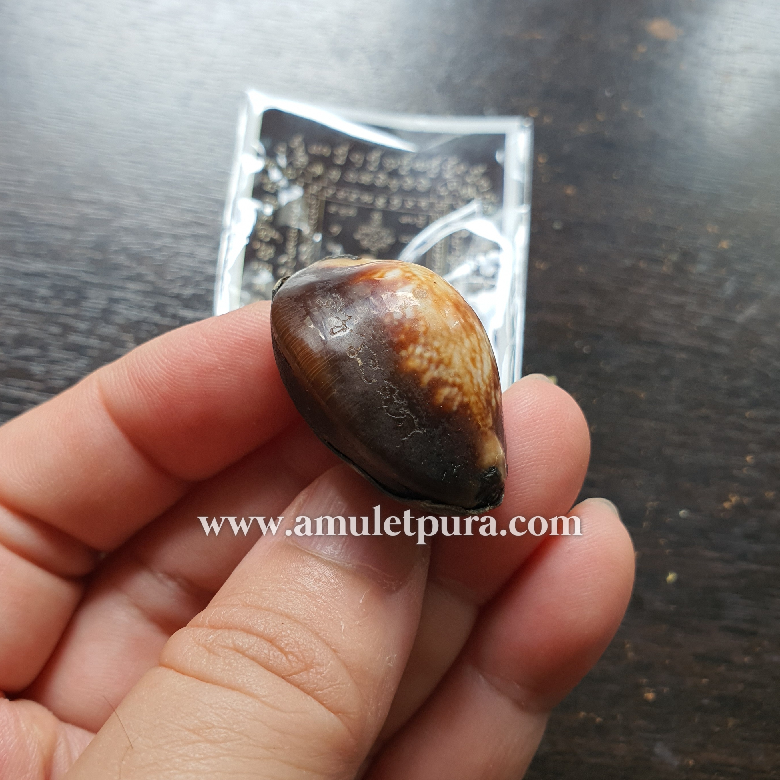 เบี้ยแก้พรายปรอท พิธี 9 ฤกษ์ 9 มงคล ครบ 200 ปี ปี54 วัดละหารไร่ จ.ระยอง จัดสร้างโดย มูลนิธิหลวงปู่ทิม (จารมืออุดผงพรายกุมารคลุกรักชันโรง หลวงปู่ทิม วัดละหารไร่ พร้อมแผ่นตะกั่ว จารมือ ตอกโค้ด หมายเลข 282) หลวงปู่บัว,หลวงปู่คำบุ,หลวงพ่อสิน ปลุกเสก