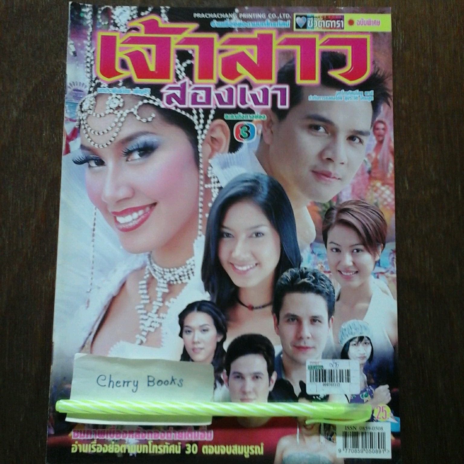 หนังสือเรื่องย่อละคร เจ้าสาวสองเงา