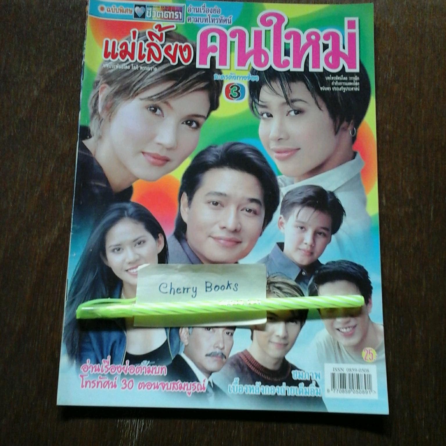 หนังสือเรื่องย่อละคร แม่เลี้ยงคนใหม่