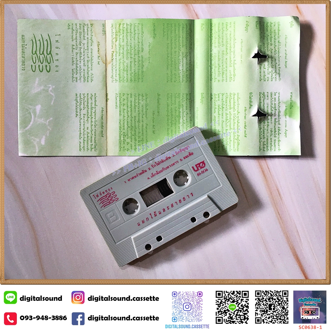 เทปคาสเซ็ท สาว สาว สาว อัลบั้ม แมกไม้และสายธาร [ปกไม่สวย]