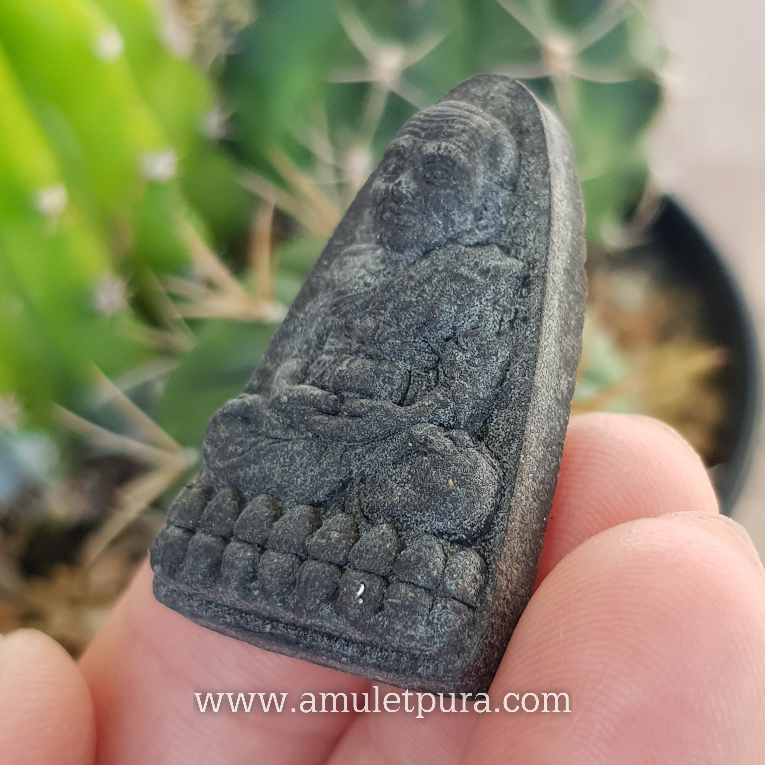 หลวงปู่ทวด หลังเตารีด พิมพ์50ปี วัดเมืองยะลา (ว่านผสมดินกากยายักษ์) รุ่นสันติสุข ปี52 พ่อท่านฉิน วัดเมืองยะลา จ.ยะลา (มีโค้ด)