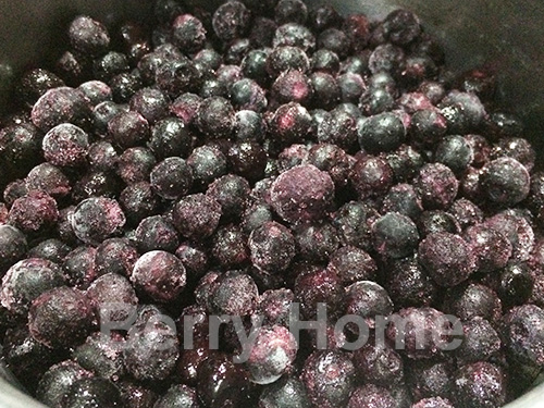 บลูเบอร์รี่แช่แข็ง (ลูกเล็ก) / Blueberry 1 กก.