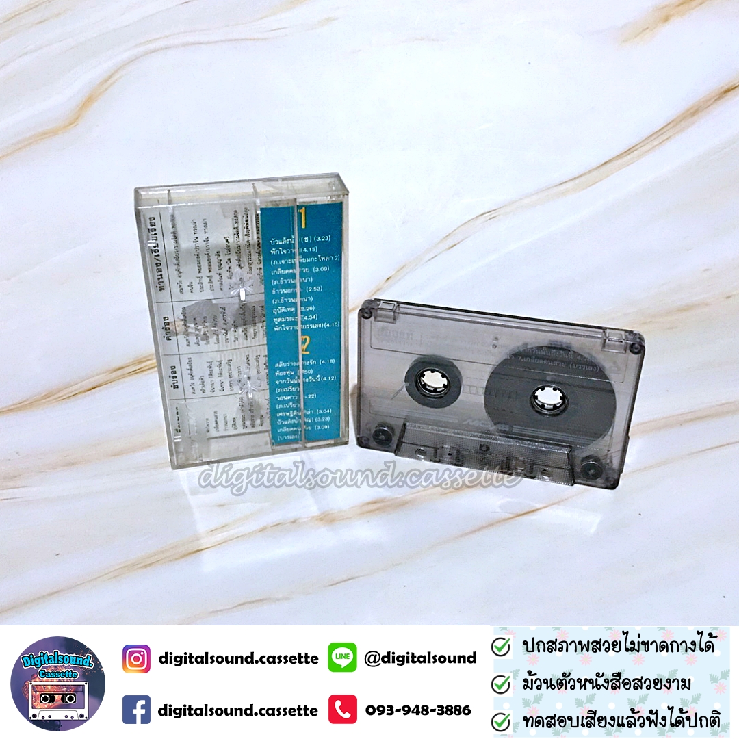 เทปคาสเซ็ท รวมศิลปิน ของแท้ 2 อัลบั้ม พักใจวาง