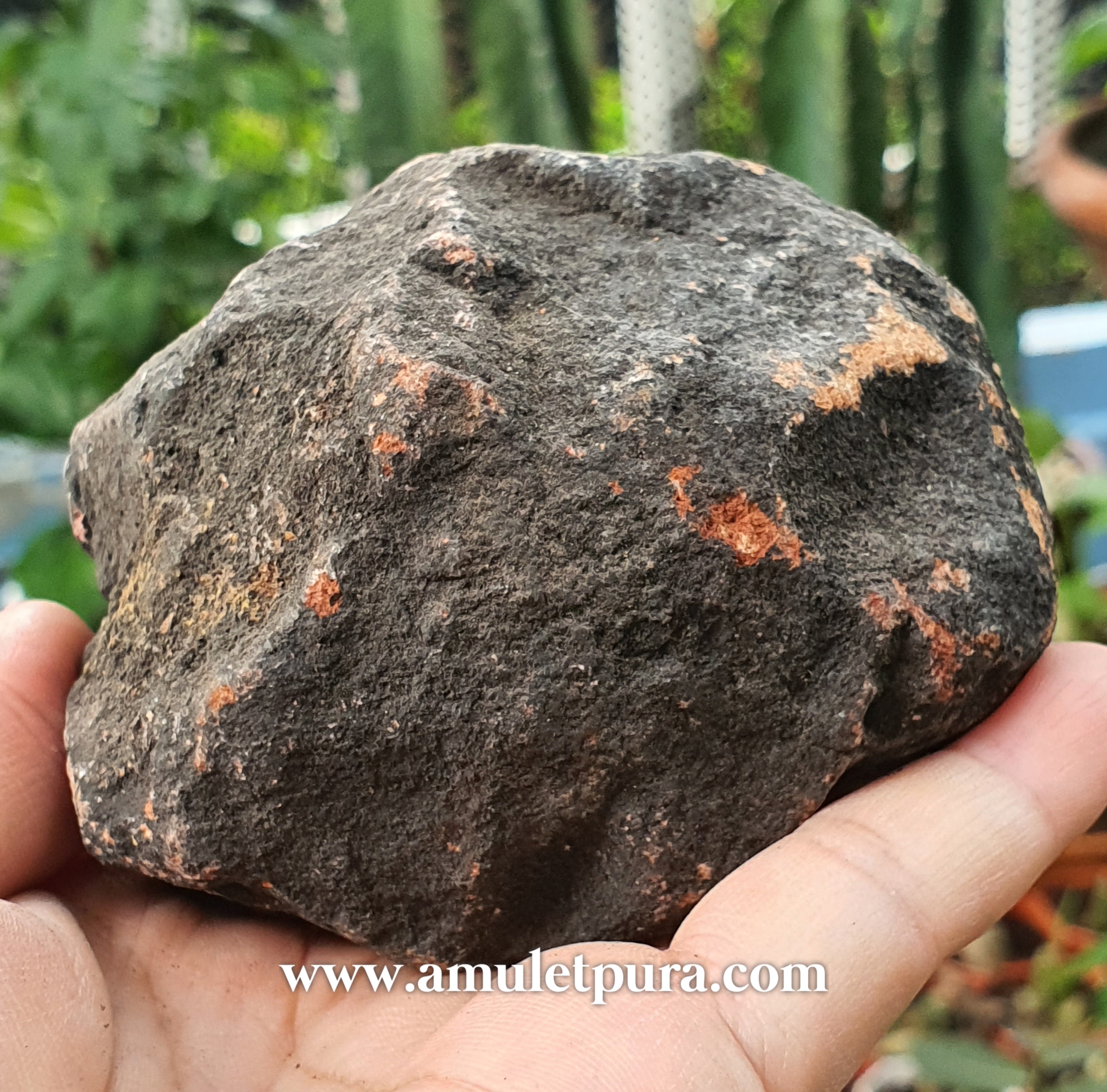 หินศิลาคอน