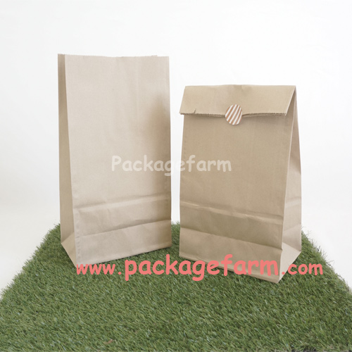 ถุงอุ้มซุปเปอร์-กลอเซอรี่ ขนาด 8" x 15" x ก้นและข้าง 5" (G-4)