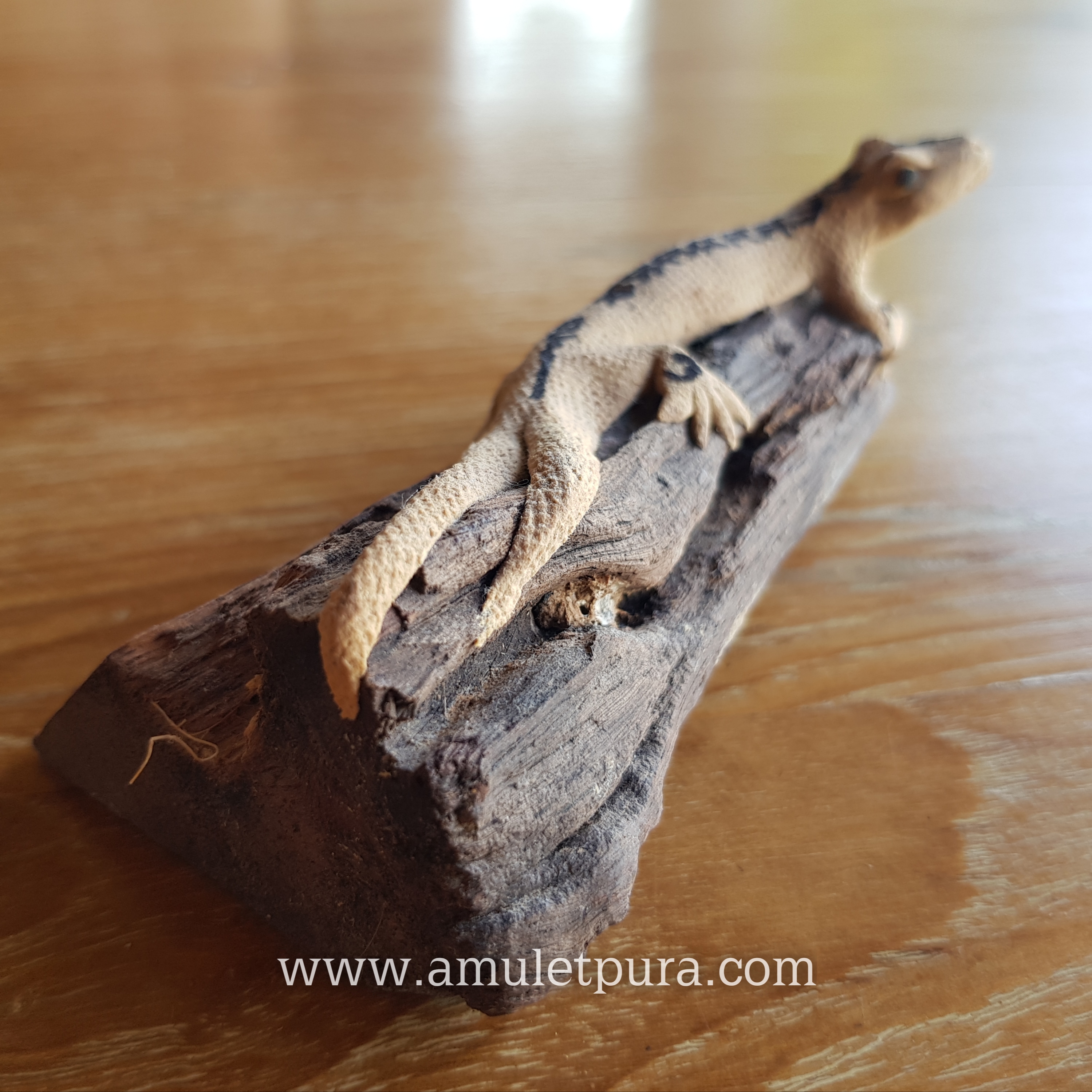 จิ้งจกพรหม 2 หางเกาะกิ่งไม้ ปี54 (ขนาดบูชา) อ.หนู กันภัย (แบบที่1)