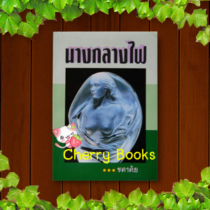 นางกลางไฟ (เล่มเดียวจบ) / ชลาลัย