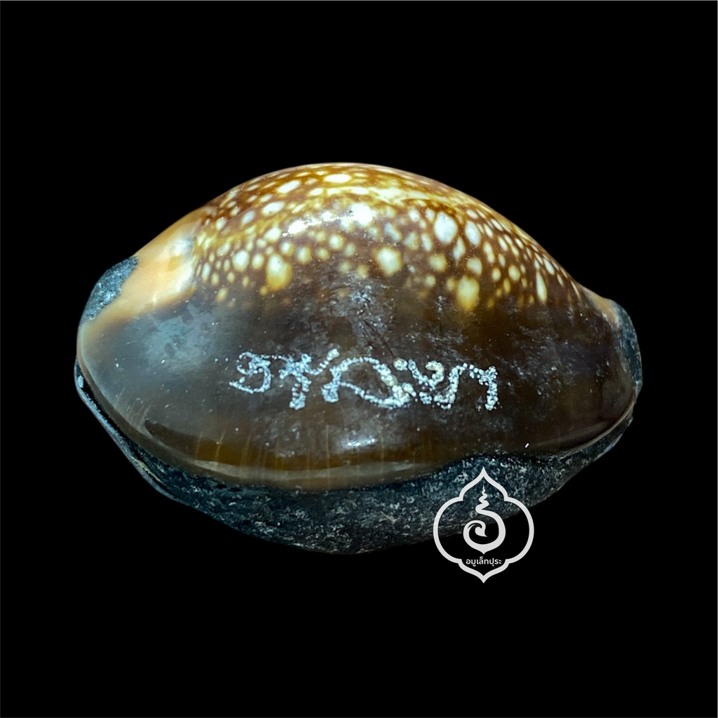 เบี้ยแก้พรายปรอท พิธี 9 ฤกษ์ 9 มงคล ครบ 200 ปี ปี54 วัดละหารไร่ จ.ระยอง จัดสร้างโดย มูลนิธิหลวงปู่ทิม (อุดผงพรายกุมารคลุกรักชันโรง หลวงปู่ทิม วัดละหารไร่ พร้อมแผ่นตะกั่ว จารมือ ตอกโค้ด หมายเลข 440) หลวงปู่บัว,หลวงปู่คำบุ,หลวงพ่อสิน ปลุกเสก