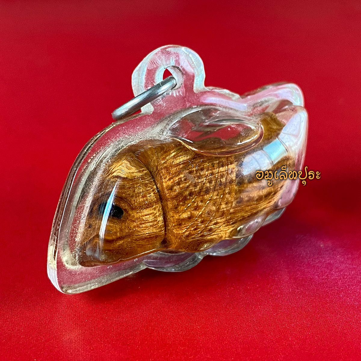 นกสาริกาแกะจากไม้กาหลงรัง ไม้อาถรรพ์ อายุ 400 ปี แช่น้ำมัน ต้นยุค หลวงพ่อพิจารย์ วัดโพธิ์ผักไห่ จ.พระนครศรีอยุธยา (เมตตามหานิยม ดีทางเจรจาค้าขาย)