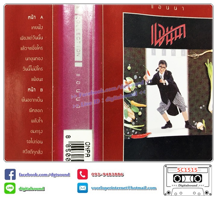 เทปคาสเซ็ท แอนนา อัลบั้ม THE COLLECTION อัลบั้ม แกง