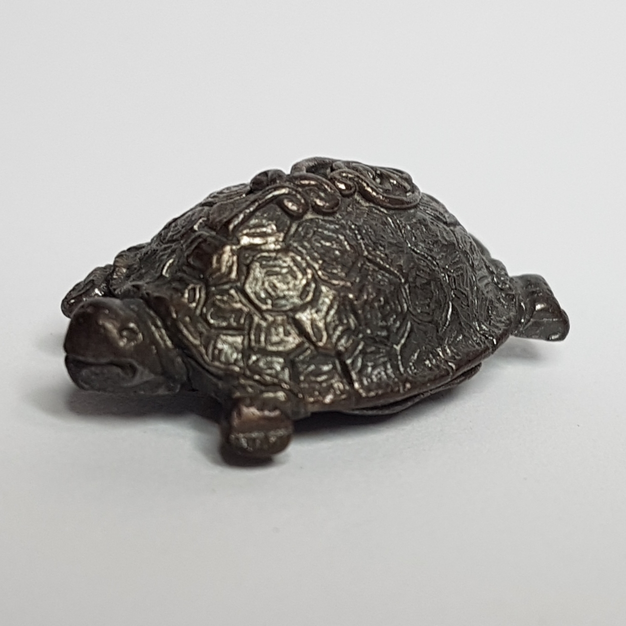 พญาเต่ากัสโป หลวงพ่อสนิท วัดพุทธานุภาพ จ.ปราจีนบุรี