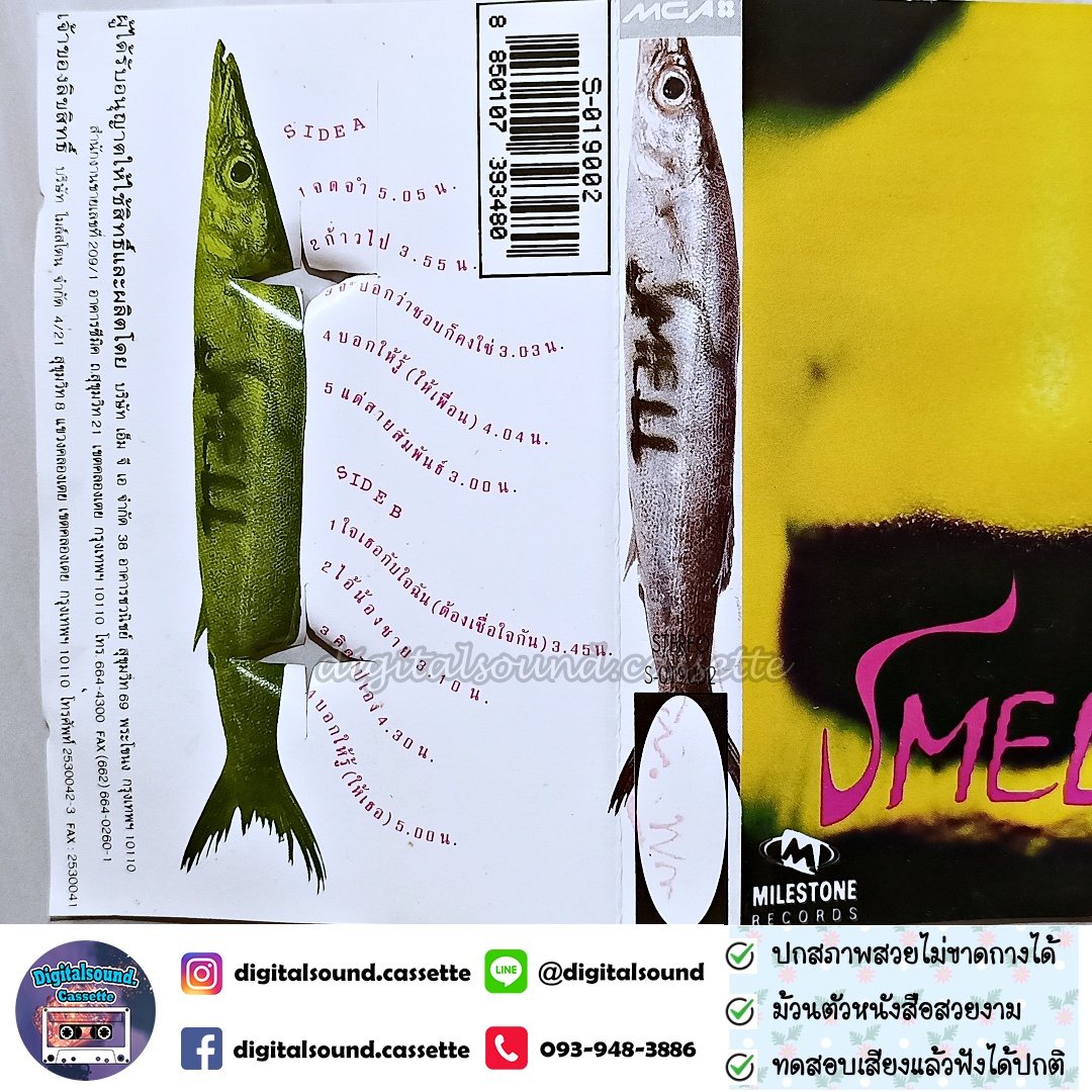 เทปคาสเซ็ท SMELL ไมล์สโตน มาโนช พุฒตาล อัลบั้ม SMELL