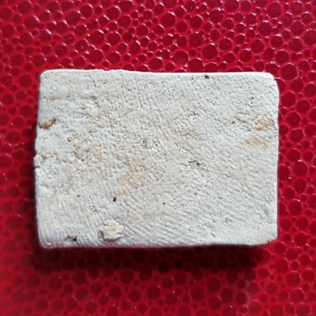 จิ้งจกเกี้ยวปี้สุดสวาท หลวงพ่อชนะ วัดคำขาม จ.กาฬสินธุ์