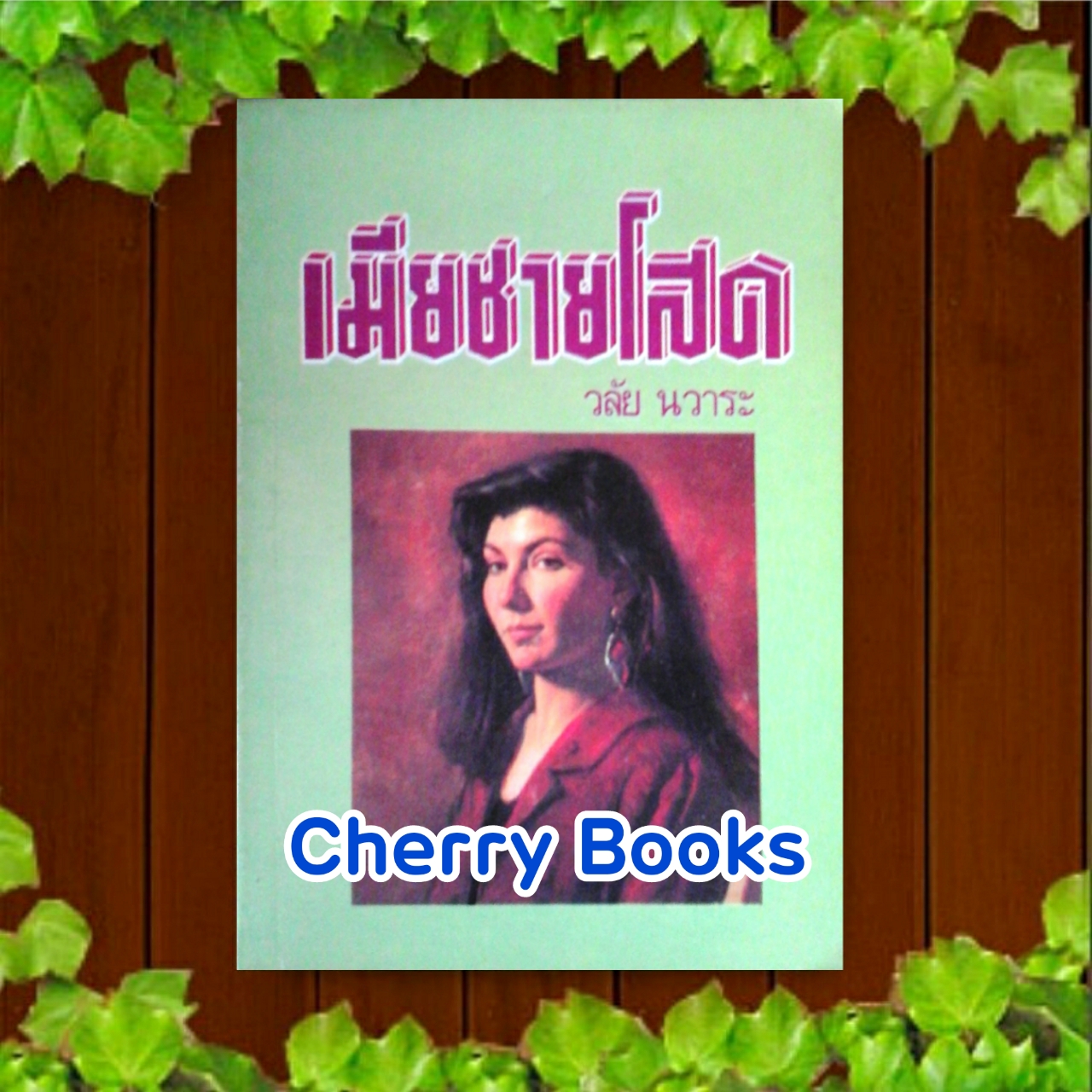 เมียชายโสด (เล่มเดียวจบ) / วลัย นวาระ