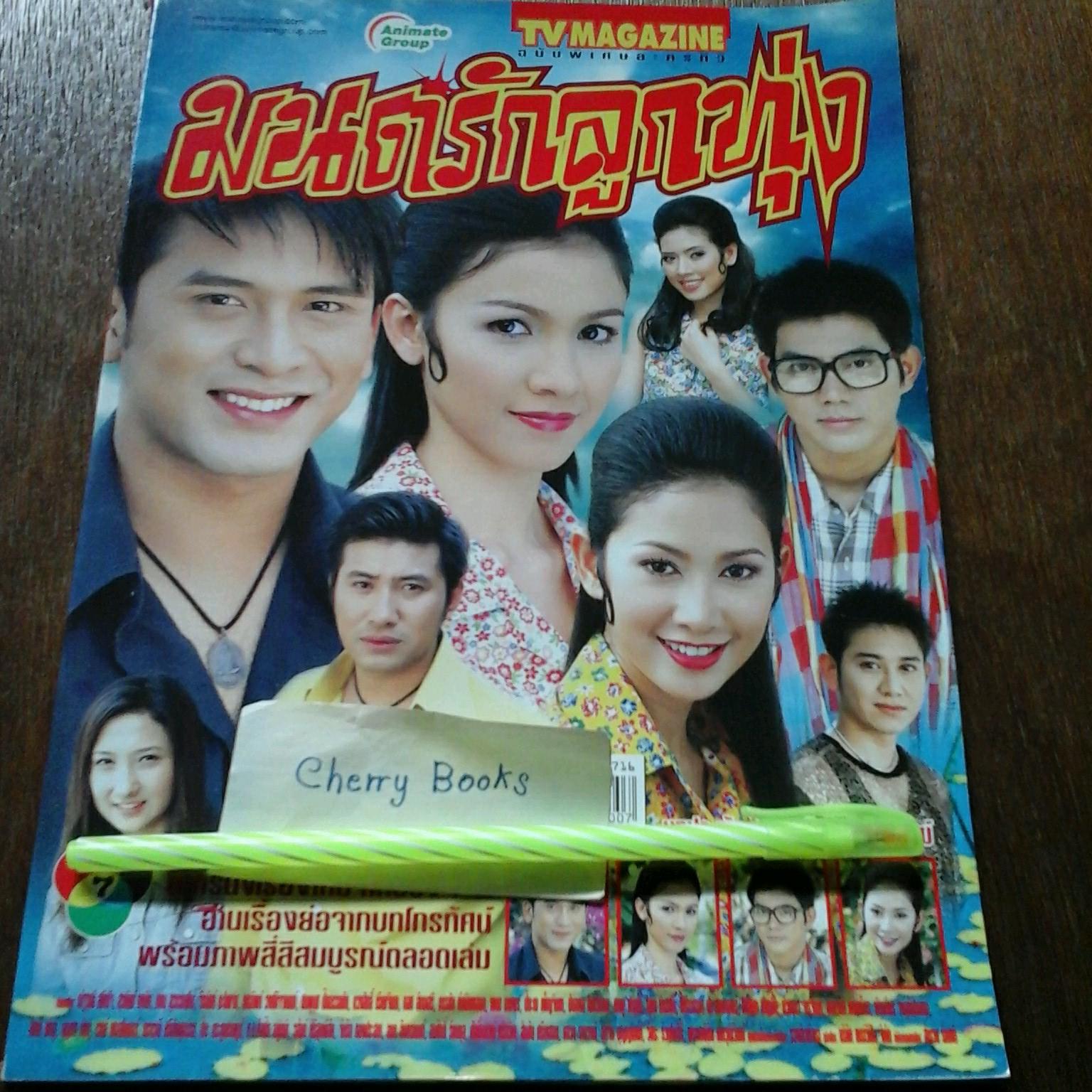 หนังสือเรื่องย่อละคร มนต์รักลูกทุ่ง