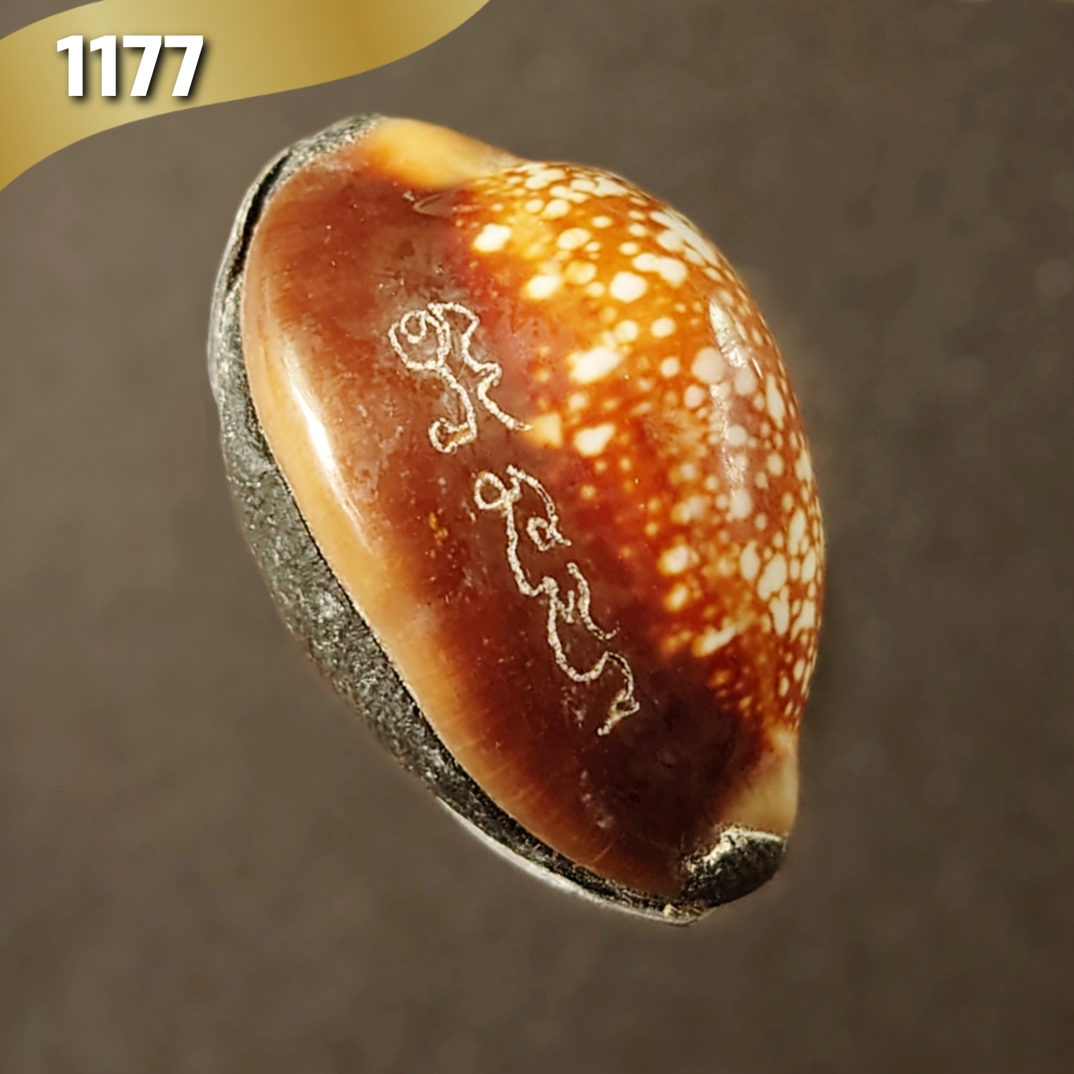 เบี้ยแก้พรายปรอท พิธี 9 ฤกษ์ 9 มงคล ครบ 200 ปี ปี54 วัดละหารไร่ จ.ระยอง จัดสร้างโดย มูลนิธิหลวงปู่ทิม (จารมืออุดผงพรายกุมารคลุกรักชันโรง หลวงปู่ทิม วัดละหารไร่ พร้อมแผ่นตะกั่ว จารมือ ตอกโค้ด หมายเลข 1177) หลวงปู่บัว,หลวงปู่คำบุ,หลวงพ่อสิน ปลุกเสก