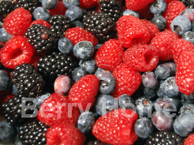 มิกซ์เบอร์รี่แช่แข็ง / Mixed Berry (1 กก.)