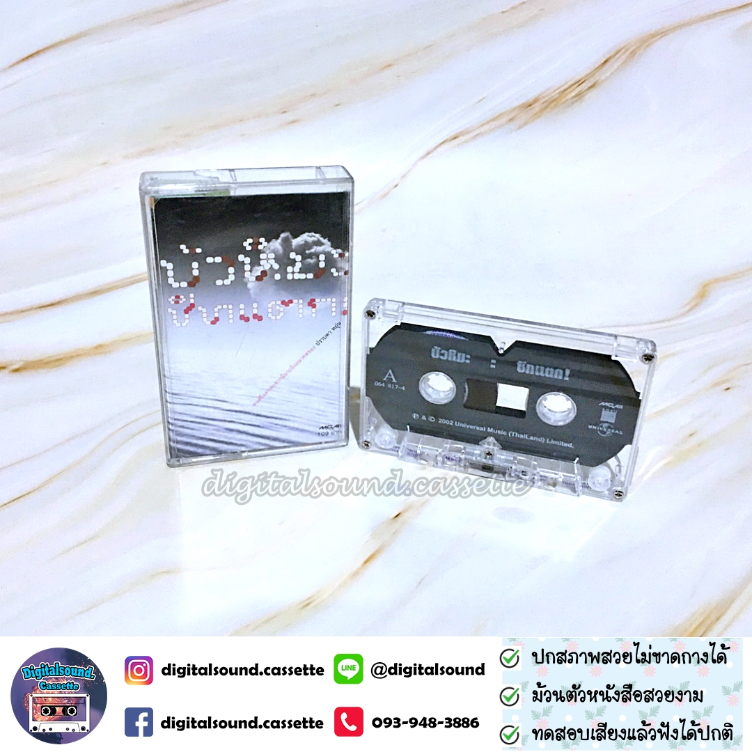 เทปเพลง เทปคาสเซ็ท ปราบดา หยุ่น และ เจตมนต์ มละโยธ อัลบั้ม บัวหิมะ ชิทแตก