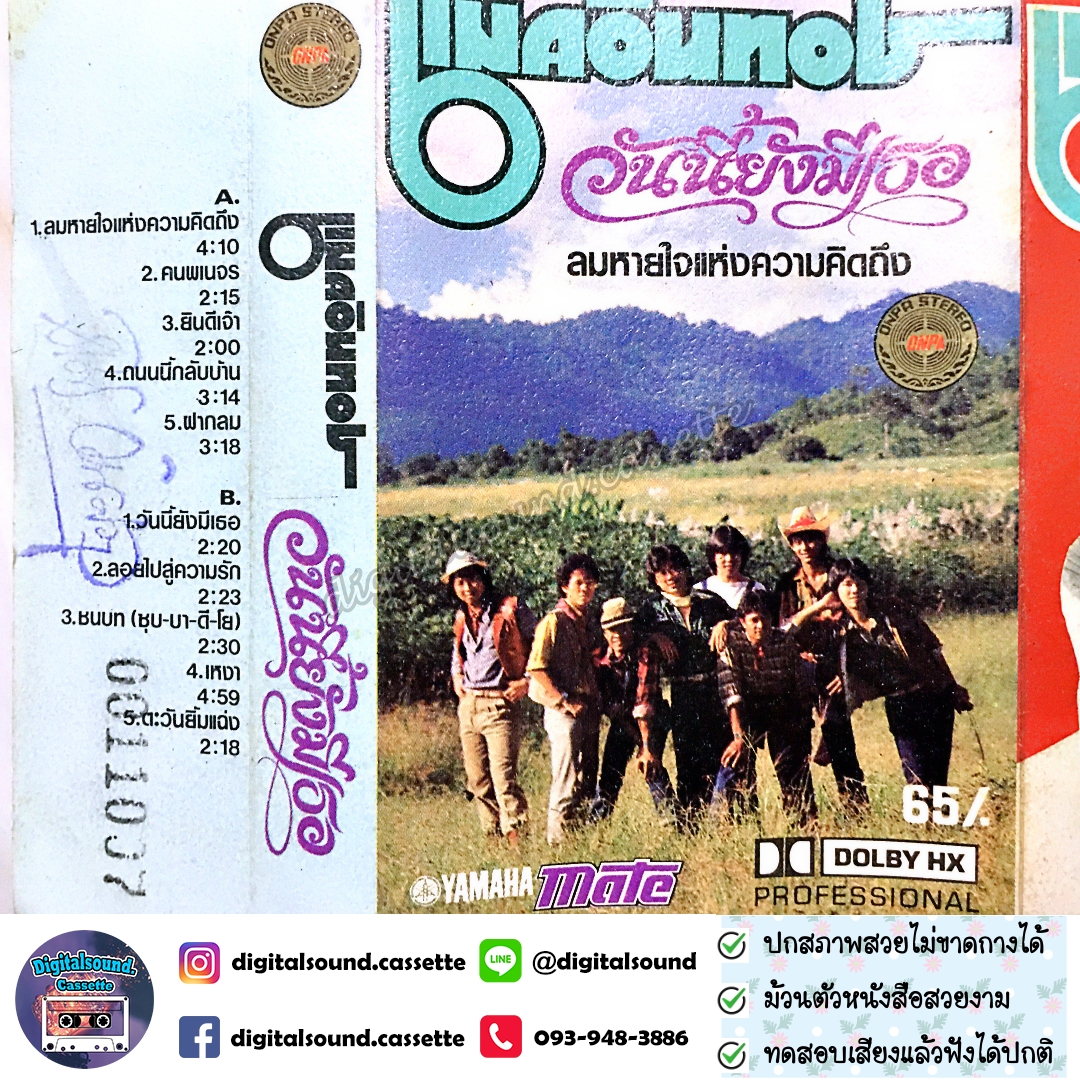 เทปคาสเซ็ท แมคอินทอช McIntosh อัลบั้ม วันนี้ยังมีเธอ