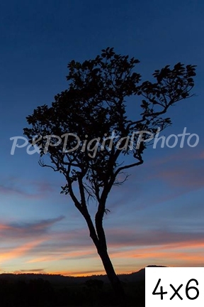 อัดรูปออนไลน์ ล้างรูปราคาถูก ขนาดอัดรูป 4x6 จัมโบ้ 1,000 ใบขึ้นไป