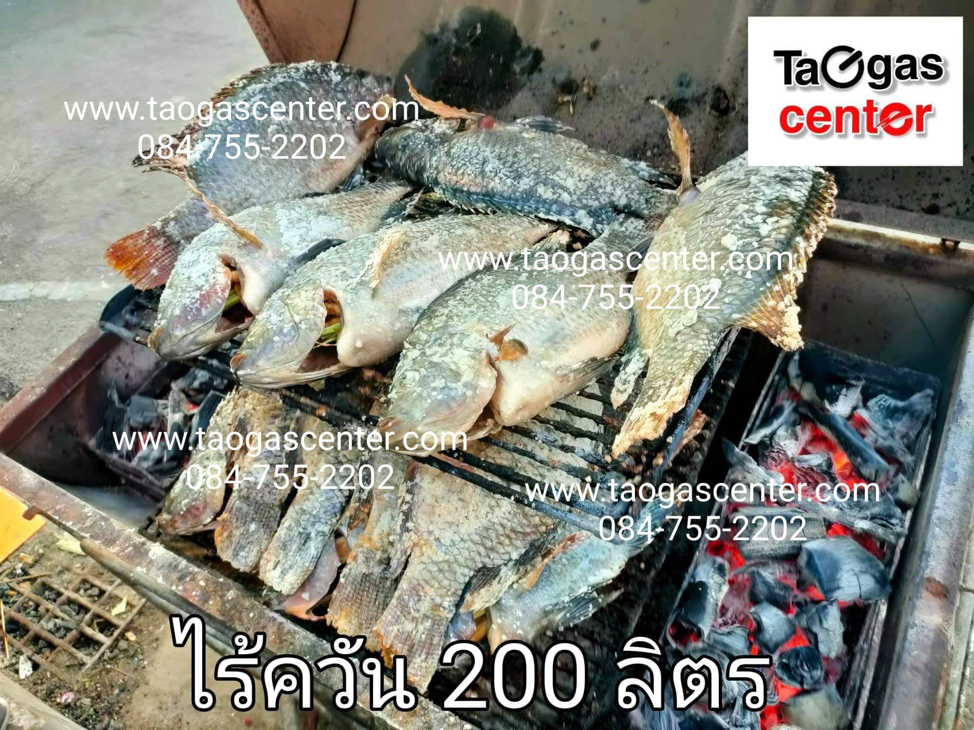 เตาย่าง เตาปิ้งย่าง ไร้ควัน ใช้ถ่าน ขนาด 200 ลิตร Smokeless Charcoal Oven 200 L.