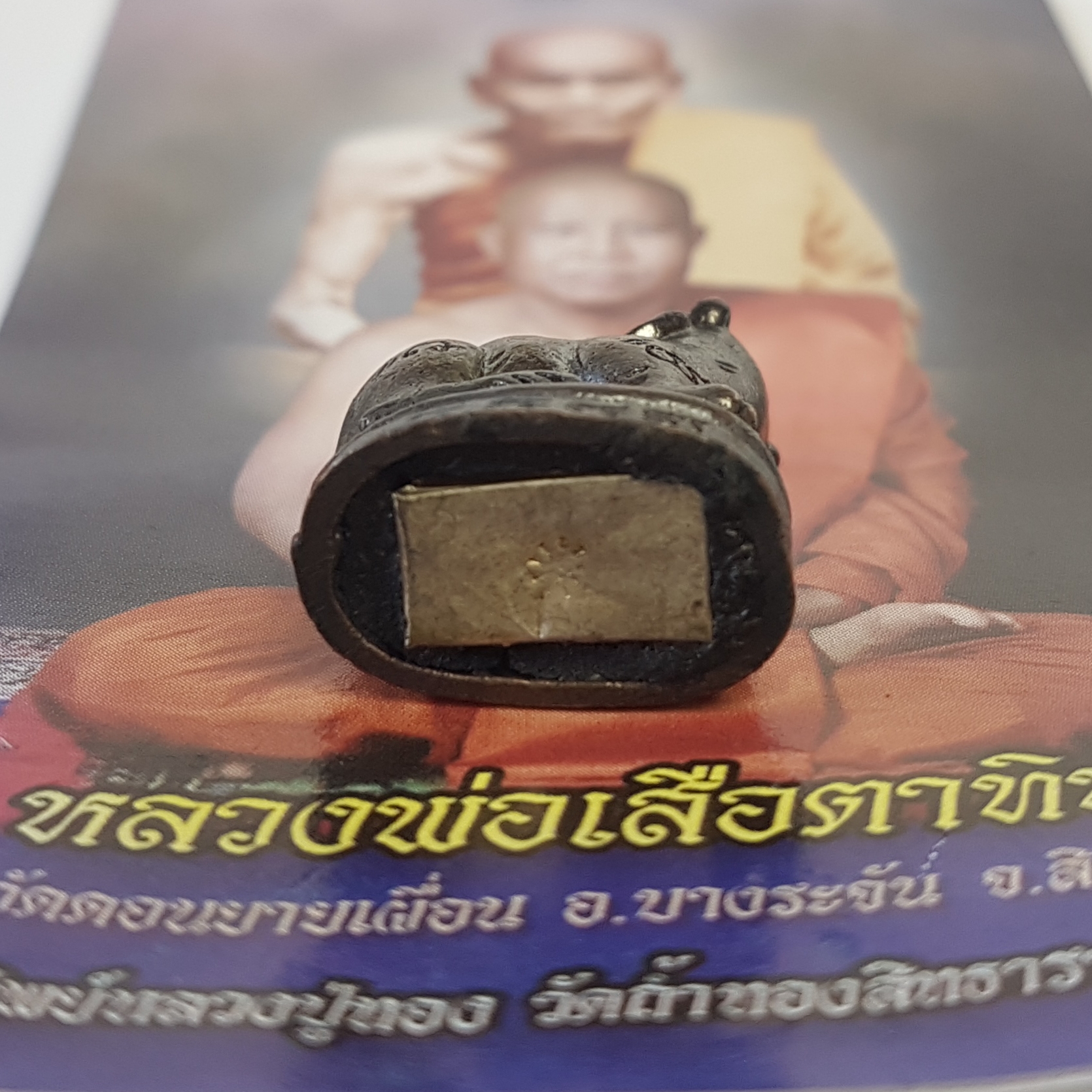 พญาเสือเหลียวหลัง รุ่นเสือทอง ปี53 หลวงพ่อเสือตาทิพย์ วัดดอนไผ่ใหญ่ จ.สิงห์บุรี