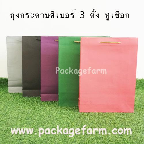 ถุงกระดาษสีเบอร์ 3 ทรงตั้ง ขนาด 10"1/2 x 13"1/2 x 3"