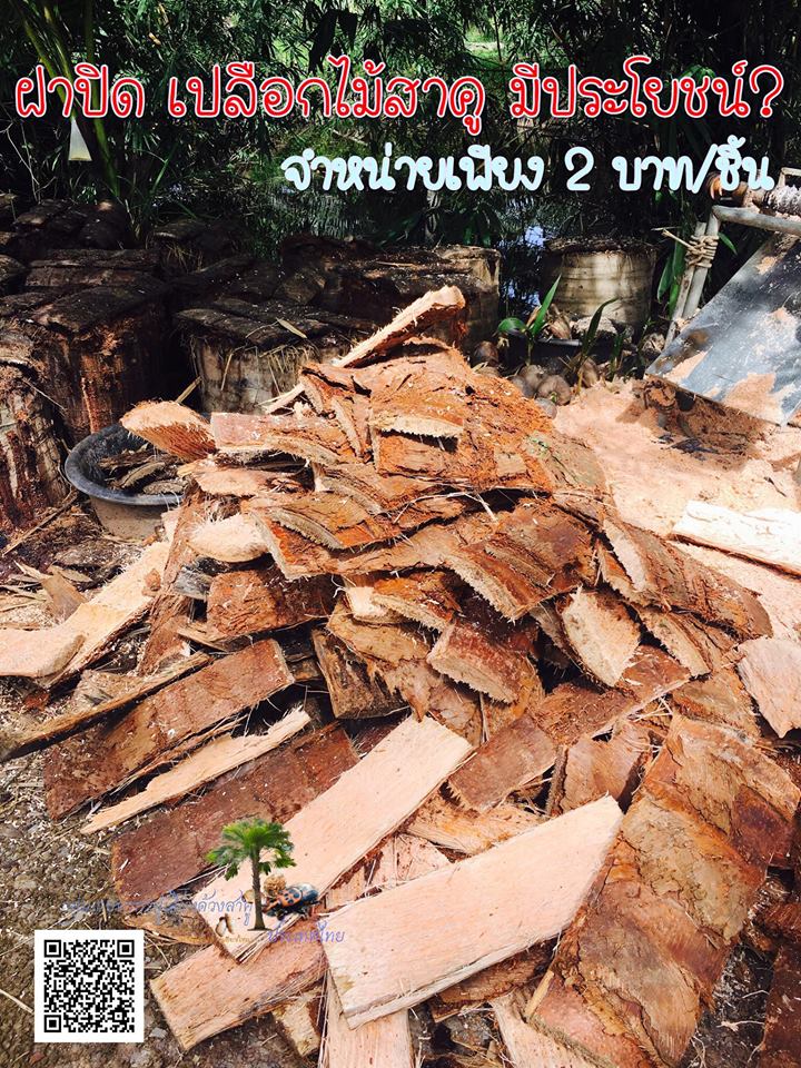ปีกไม้สาคูสำหรับใช้เป็นฝาปิดกะละมัง