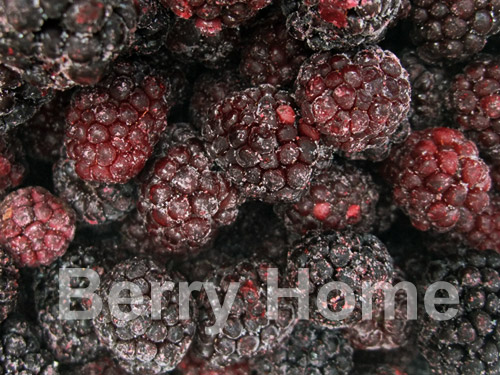 แบล๊คเบอร์รี่แช่แข็ง / Blackberry (1 กก.)