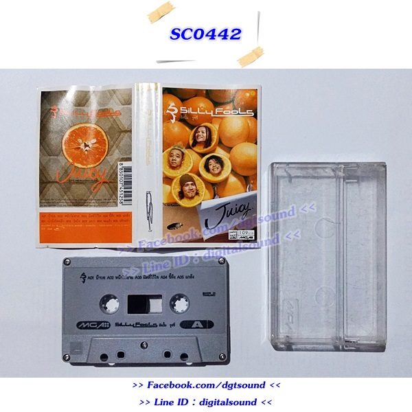 ม้วนเทป ซิลลี่ ฟูลส์ Silly Fools อัลบั้ม Juicy