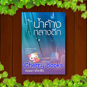 น้ำค้างกลางดึก (เล่มเดียวจบ) / กฤษณา อโศกสิน
