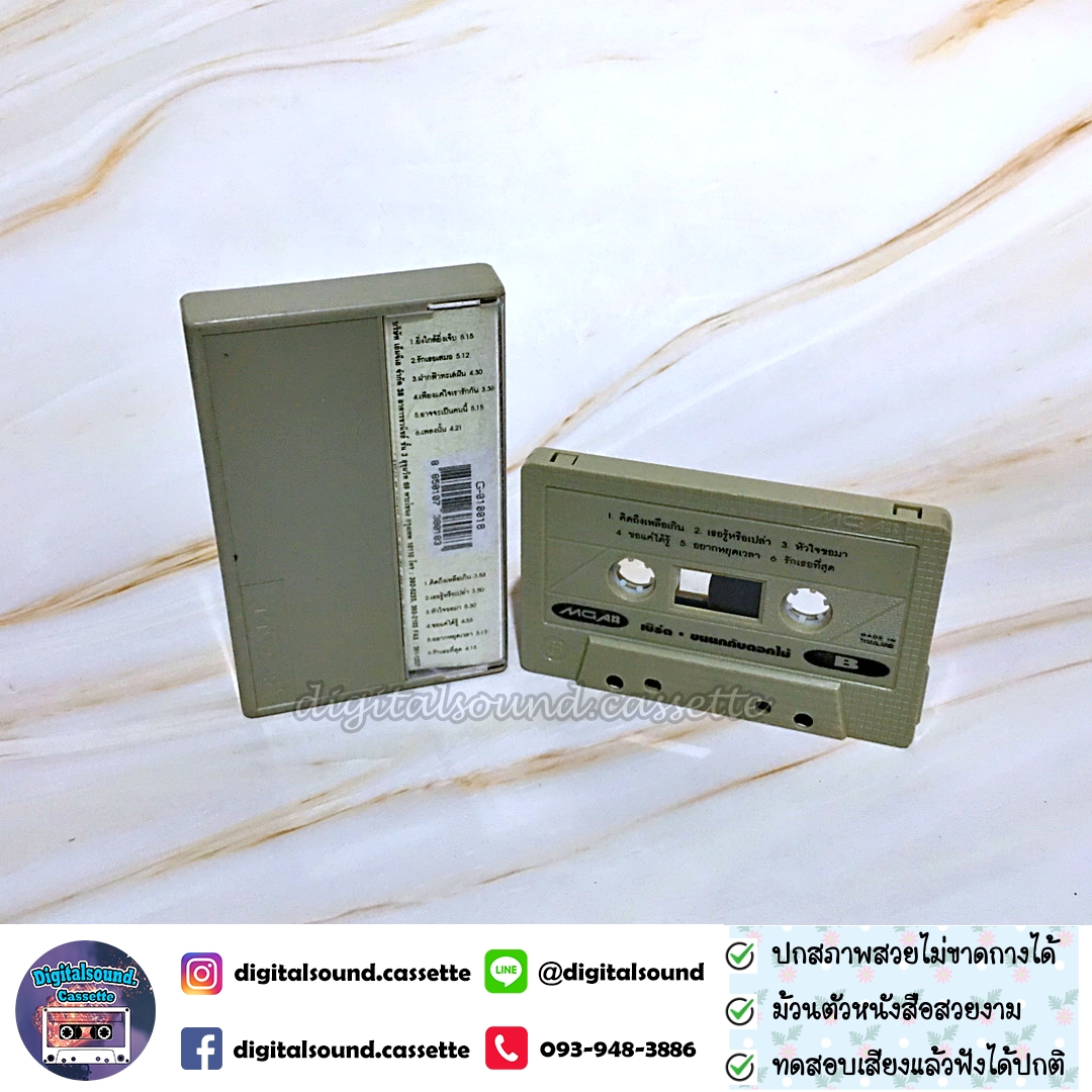 เทปคาสเซ็ท เบิร์ด ธงไชย แมคอินไตย์ อัลบั้ม ขนนกกับดอกไม้