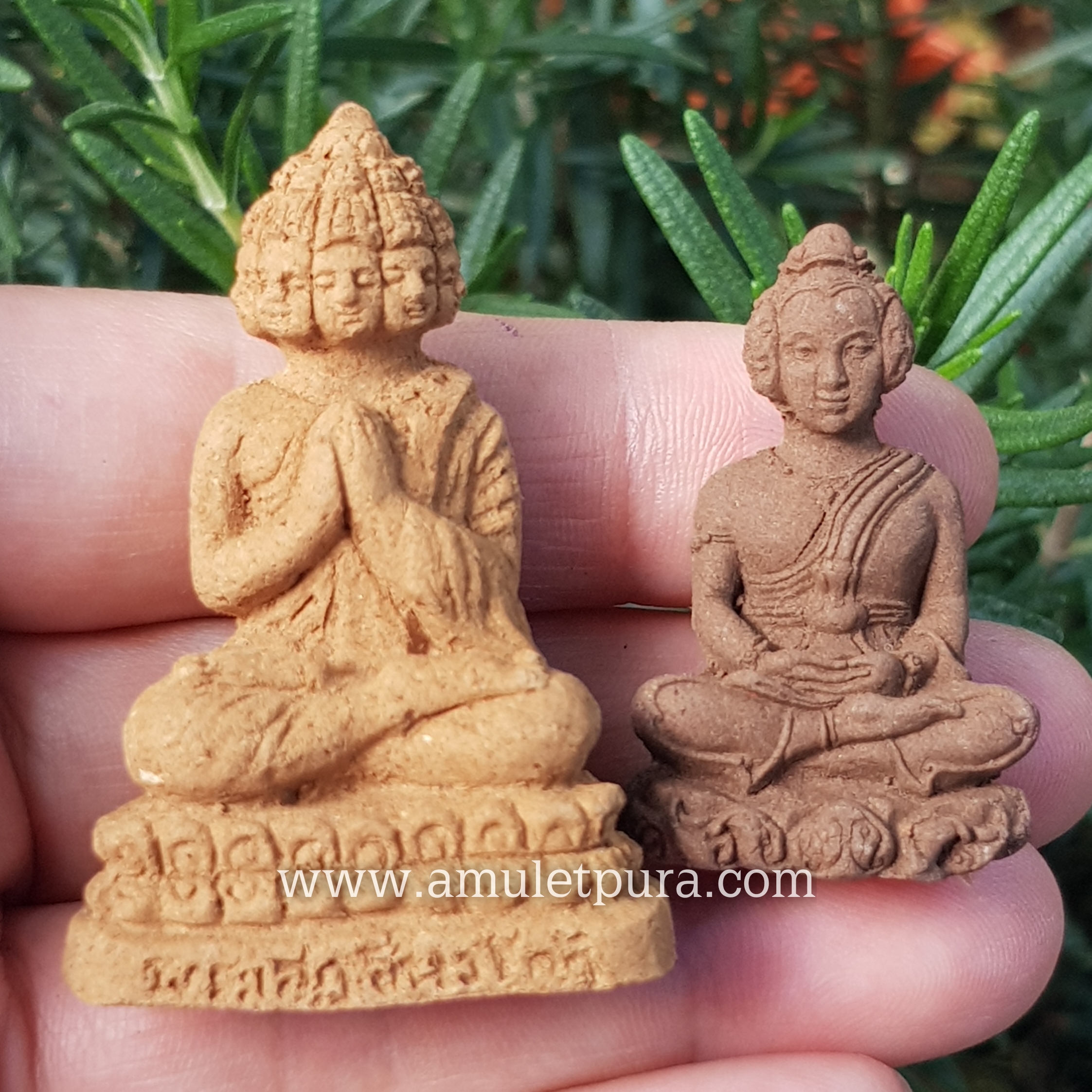 พระเศรษฐีนวโกฏิ เนื้อผงไม้ยอ ปี52 หลวงปู่มา วัดป่ามงคลญาณ จ.อุบลราชธานี