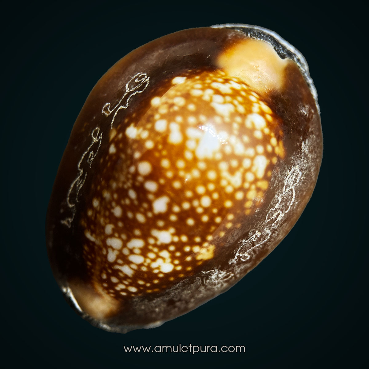 เบี้ยแก้พรายปรอท พิธี 9 ฤกษ์ 9 มงคล ครบ 200 ปี ปี54 วัดละหารไร่ จ.ระยอง จัดสร้างโดย มูลนิธิหลวงปู่ทิม (จารมืออุดผงพรายกุมาร คลุกรักชันโรงหลวงปู่ทิม วัดละหารไร่ พร้อมแผ่นตะกั่วจารมือ ตอกโค้ด หมายเลข 1177) หลวงปู่บัว,หลวงปู่คำบุ,หลวงพ่อสิน ปลุกเสก