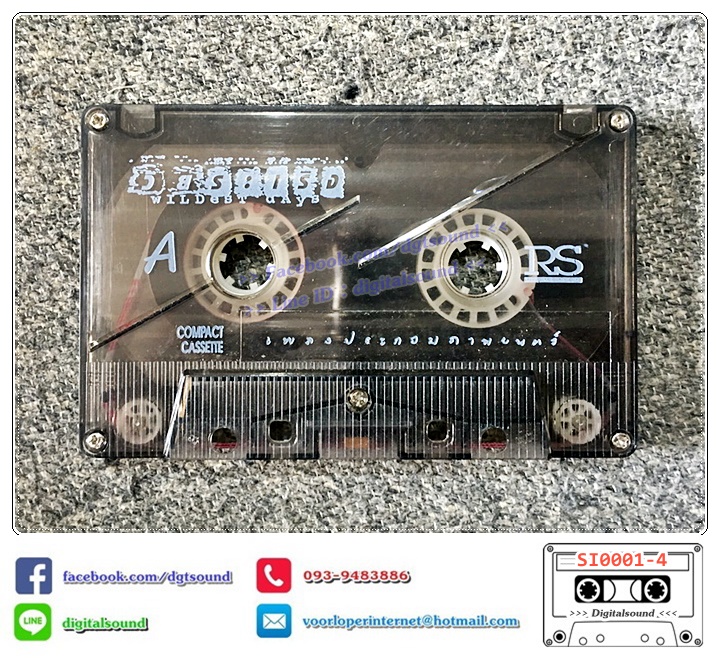 เทปคาสเซ็ท รวมศิลปิน อัลบั้ม วัยระเริง