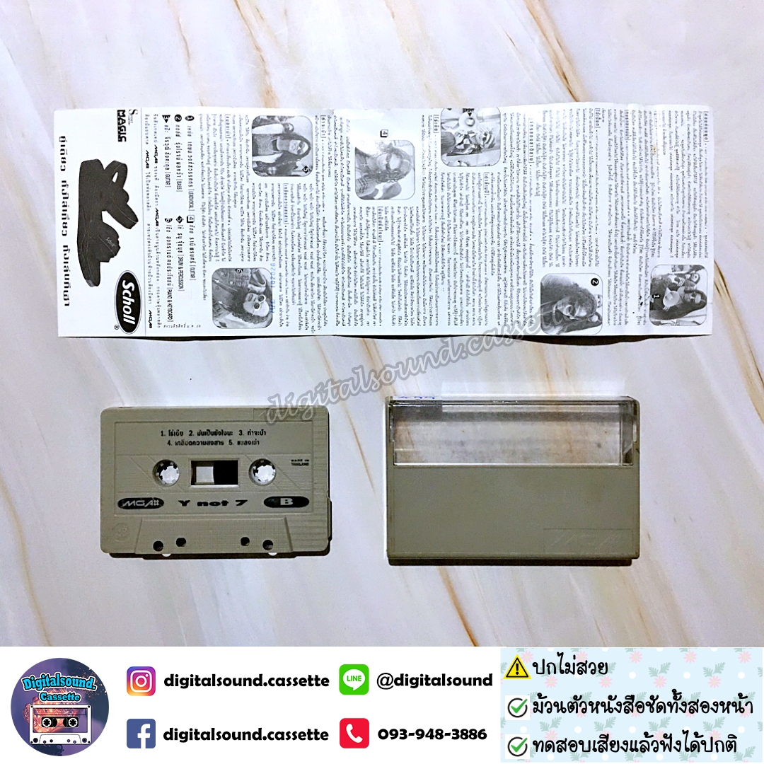 ⚠️ปกไม่สวย เทปคาสเซ็ท Y not 7 อัลบั้ม Y Not 7