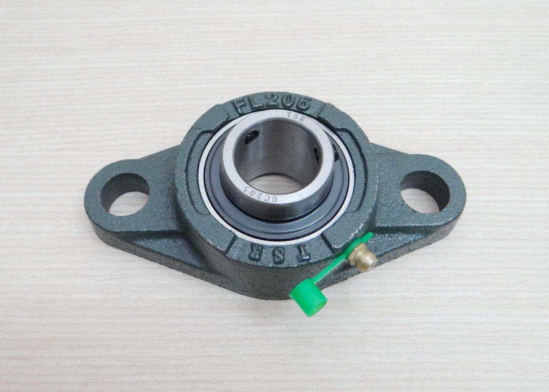 UCFL205 Flange Bearing Unit 25mm Cast Iron Housing Self-aligning