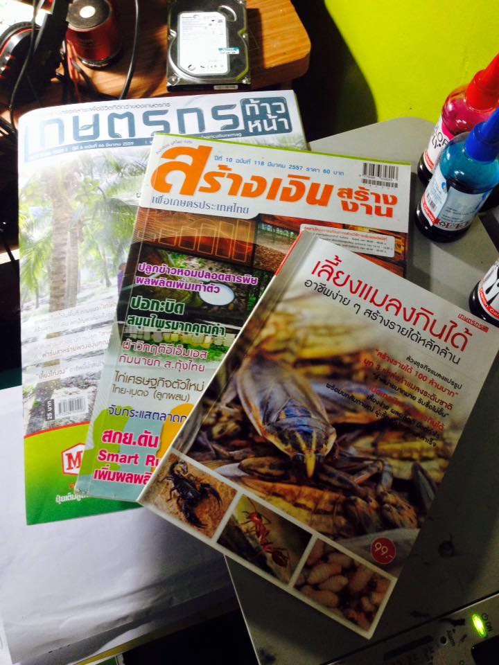 หนังสือ/นิตยสาร/สื่อโฆษณา