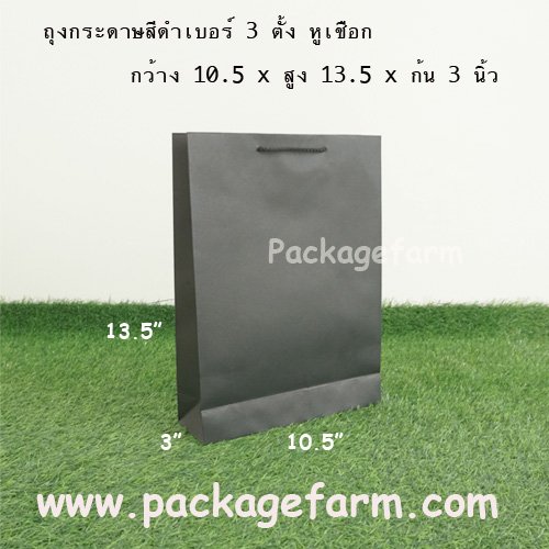 ถุงกระดาษสีเบอร์ 3 ทรงตั้ง ขนาด 10"1/2 x 13"1/2 x 3"