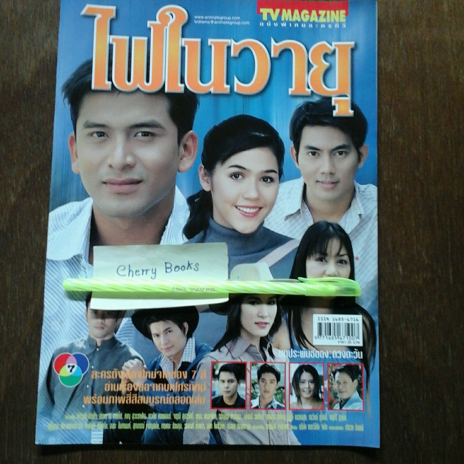 หนังสือเรื่องย่อละคร ไฟในวายุ