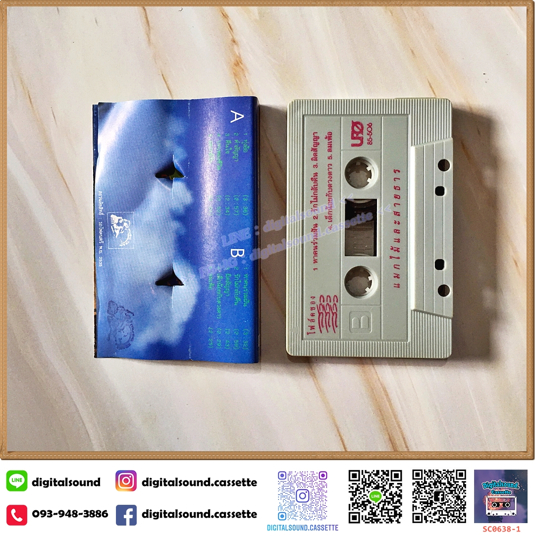 เทปคาสเซ็ท สาว สาว สาว อัลบั้ม แมกไม้และสายธาร [ปกไม่สวย]